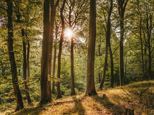 Is it Taboo to Talk About Suicide? Why?