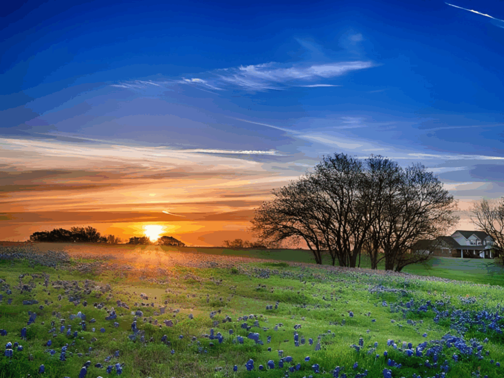 A Year of Visibility: Welcoming New Leadership and a Clear Vision for 2026